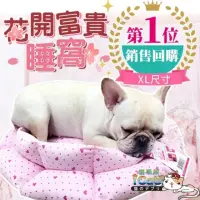 在飛比找momo購物網優惠-【iCat 寵喵樂】花開富貴睡窩 XL（加購價）(寵物睡床/