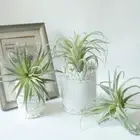 Artificial Bromeliads Grass Fake Succulents Flower Plants Home Floral Decor