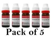 5X Dr Reckeweg Sarsaparilla 200 CH Dilution (11ml Each)