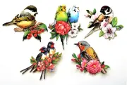 3D Easy Die Cut Card Toppers Birds with Flowers Budgie Assorted Type 3