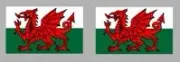 2x WELSH WALES FLAG DECALS / STICKERS