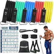 Resistance Bands for Working Out Exercise Bands Workout Bands Set with Handles, Door Anchor, Ankle Straps for Men & Women Body Stretching, Crossfit Training Equipment, Home Workouts