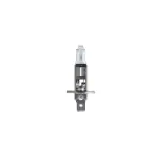 Philips Longlife Ecovision Globe H1 12V 55W P14 Pack of 2 - 12258LLECOS2 (for: Daewoo)