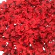 CODE FLORIST 2200 PCS Dark-Red Silk Rose Petals for 2 Inch, Red-black