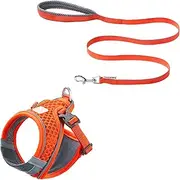 TOUCHDOG Cat Harness and Leash for Walking Lightweight Adjustable Cat Leash pet Chest and Back Strap Vest Easy to Wear Kitten Harness for Outdoor Travel Breathable Structure (Orange, M)