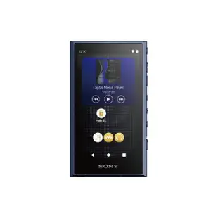 【SONY 索尼】高解析音質 Walkman 數位隨身聽 NW-A306 32G 可攜式音樂播放器(NW-A306)