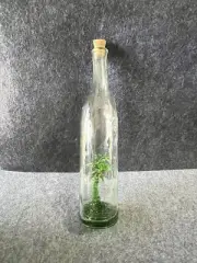 Vintage Hand Blown Glass Bottle With Glass Palm Tree Inside