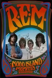 Red Hot Chili Peppers Nirvana Pearl Jam Wall Art Poster Print Pick A Size Lot Up
