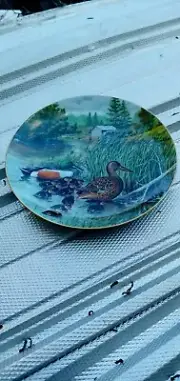 1987 The Northern Shoveler plate #18308E by bart jerner