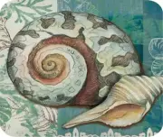 SEASHELL DESIGN 12 COMPUTER MOUSE PAD 9 x 7