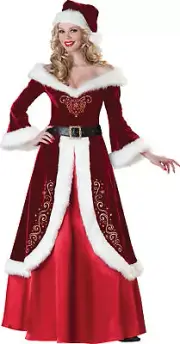 Mrs. St. Nick Santa Claus Adult Womens Costume Velvet Dress Gown Christmas