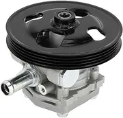 X AUTOHAUX Power Steering Pump for Chevrolet Tracker 2.5L V6 2001-2004 for Suzuki Grand Vitara 2.5L V6 1999-2005 Consistent No.49100-65D30/21-5269 Power Assist Pump with Pulley 1 Pcs
