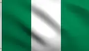 DMSE Nigeria Nigerian National Flag 3X5 Ft Foot 100% Polyester 100D Flag UV Resistant (3' X 5' Ft Foot)