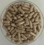 ORGANIC Terminalia Arjuna Capsules Pure & High Quality