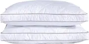 2 x King Size Pillow with free 2 x King pillow cases