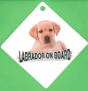 On Board Dog Car Sign "Labrador on Board" Suction Cap provided