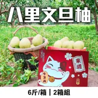 在飛比找台灣好農優惠-柚＆蜜 八里文旦柚6台斤*2箱