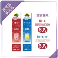 在飛比找momo購物網優惠-【SUNLIFE】德國原裝發泡錠 鐵鋅雙效12入組(鋅＋C＋