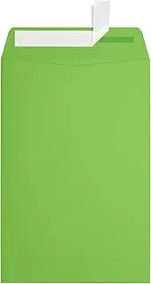 LUXPaper 6 x 9 Open End Envelopes | Peel & Press | Limelight Green | 80lb. Text | 50 Qty