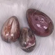 Natural Petrified Wood Fossil Sphere Polished Egg Palm Crystal Quartz Rock Stone Mineral Home decor-250-300g