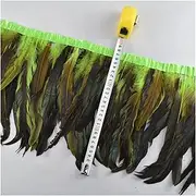 YUMAO 1Meters Rooster Tail Trim Coque Feather Fringe Ribbon On Tape 25-30CM Feathers for Crafts Clothes Decoration Plumes Decoration 0217 (Color : Apple Green)
