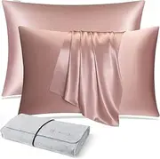 DISANGNI 100% Natural Mulberry Silk Pillow case for Hair and Skin with Hidden Zipper 22 Momme Both Sides Real Silk Pillow Case (2pc Standard Size 20" x26", Pink)