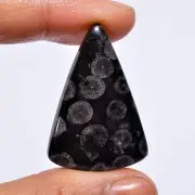 Natural Black Fossil Coral Pear Shape Cabochon Gemstone 31.5 Ct 36X25X5mm A-1043