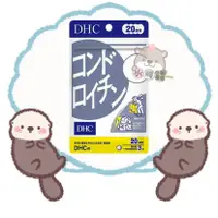 在飛比找蝦皮購物優惠-🦦水獺日韓嚴選🦦 日本正品現貨【免運】DHC 鯊魚軟骨素 2