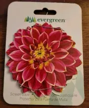 Evergreen Screen Saver • Dahlias • Pack Of 2 (Q)