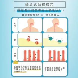 【南光製藥 艾薇斯提】💜潤妍皙60粒 | 青春美麗 | 膠原蛋白 | 穀光甘肽 | 賽洛美 | 玻尿酸