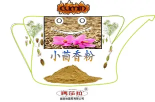 [瑪莎拉] 100％純天然小茴香粉  (孜然粉)  {120 公克/裝}  Ground Cumin