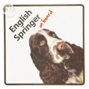 Magnet & Steel English Springer On Board