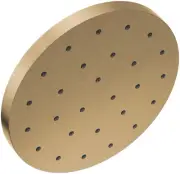 Delta 52160 Universal Showering 12" Round 1.75 GPM Single - Lumicoat Champagne