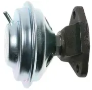 Exhaust Gas Recirculation (EGR) Valve (for: Renault)