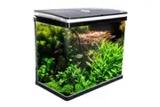 Aquarium Curved Glass RGB LED Fish Tank Set Filter Pump 52L