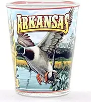 Arkansas State Mural Shot Glass Glassware JKS