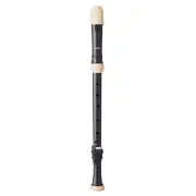 Toyama Musical Instruments AULOS Symphony Tenor Recorder Baroque Hard Case Inclu