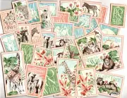 Snippets Graphic45 WILD & FREE (35PC) HAND-CUT scrapbooking crafts