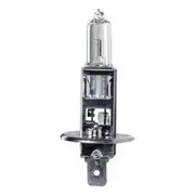 Ignite H1 Halogen Globe - Pack of 1 - IGL2100BL