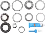Differential Rebuild Kit-FSGR DANA Spicer 10040477
