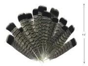 5 Pieces - Gray and Black Ruffed Grouse Tail Feathers Fly Tying Craft Supplier