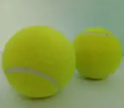 1 2 3 Tennis Ball brand new sport outdoor play cricket dog toy free shipping