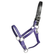 HORSE SIZE- READY MADE - Purple TURNOUT HALTER Made from BETA BIOTHANE