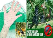 Garden Mesh Nettings Ultra Fine Plants Netting Covers For Raised Beds Vegetables