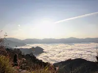 在飛比找JoinMe包車旅遊優惠-嘉義｜風華絕景阿里山 雲海日出小火車 奮起湖懷舊鐵路山林小旅