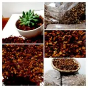 Coconut Husk Chips Orchid Anthurium Growing Dry Organic Media Fiber 100% Natural