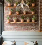 STRAND: Iron and Wood Dome Cage Pendant Lights White