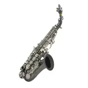 Bb Soprano Saxophone Sax Brass Black Nickel Plated Woodwind Instrument H1Y9