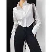 Long Sleeve Pointed Collar Plain Crop Shirt White - M