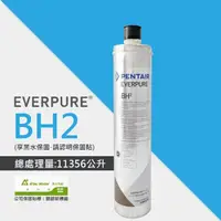 在飛比找momo購物網優惠-【EVERPURE】BH2活性碳濾芯/BH-2平行輸入濾芯(